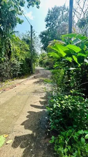 Residential Land for Sale in Gangarama Road, Boralesgamuwa