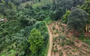 Prime 16.5-Acres Fertile Estate Land for Sale in Dedugala.