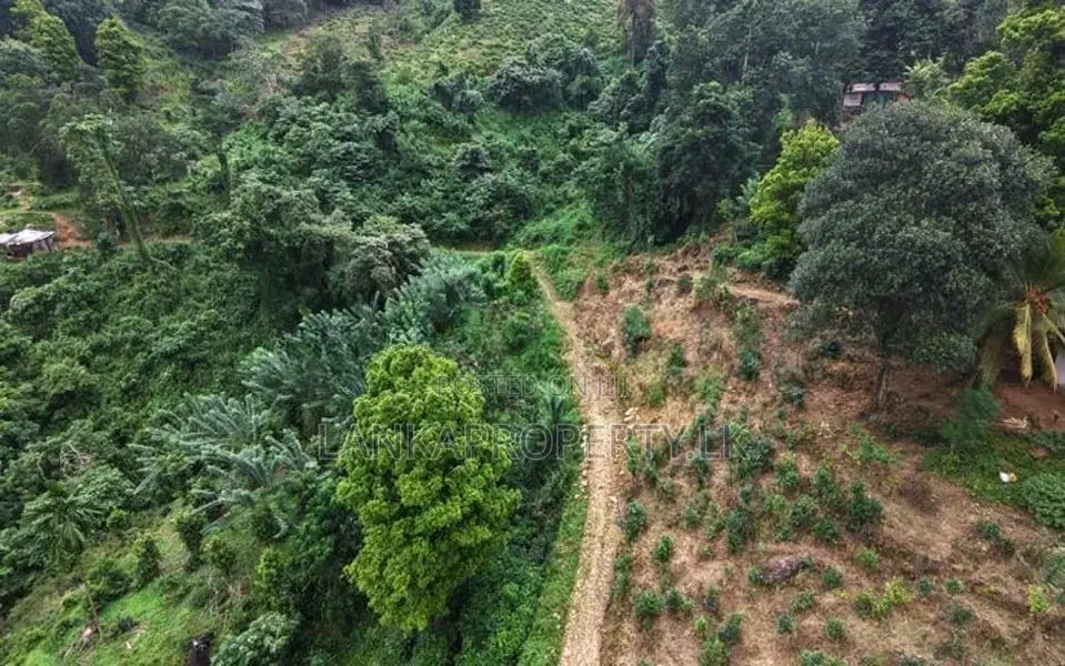 Prime 16.5-Acres Fertile Estate Land for Sale in Dedugala.
