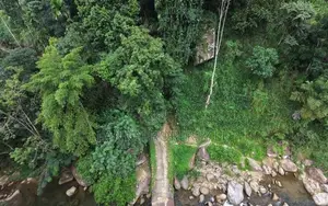 Prime 16.5-Acres Fertile Estate Land for Sale in Dedugala.
