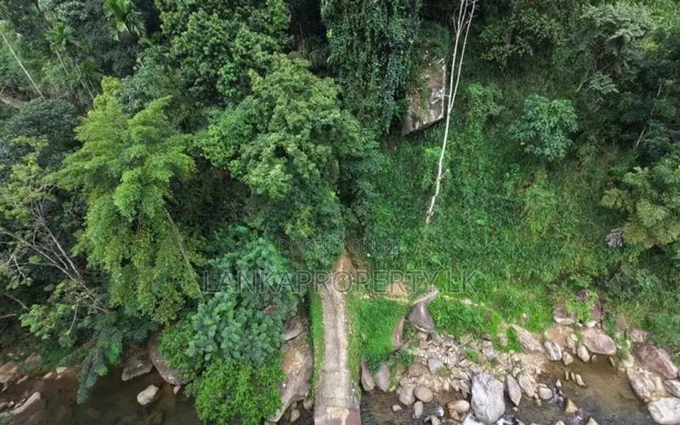 Prime 16.5-Acres Fertile Estate Land for Sale in Dedugala.