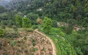 Prime 16.5-Acres Fertile Estate Land for Sale in Dedugala.