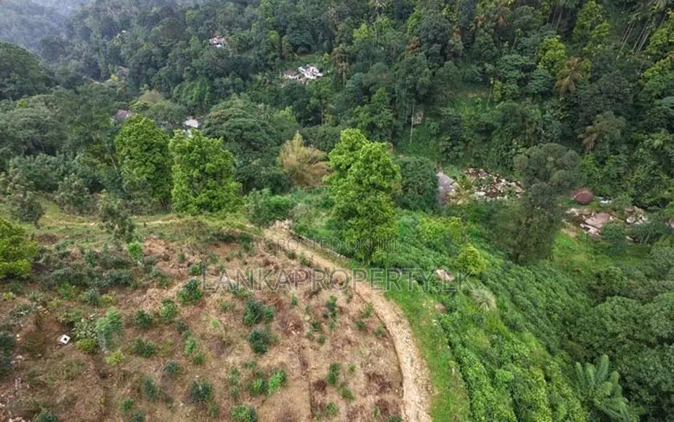 Prime 16.5-Acres Fertile Estate Land for Sale in Dedugala.