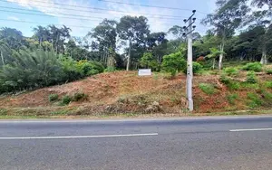 Scenic Road Facing Land for Sale, Halpe, Belihuloya