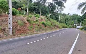 Scenic Road Facing Land for Sale, Halpe, Belihuloya