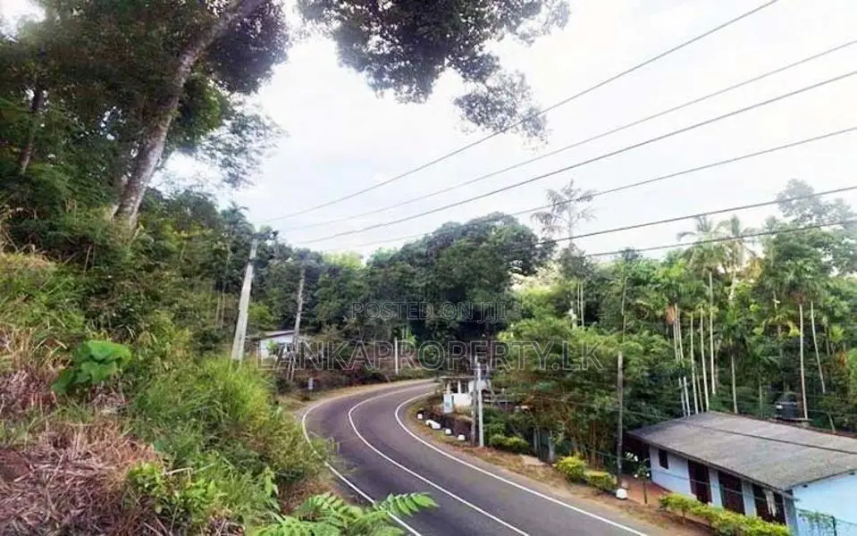 Scenic Road Facing Land for Sale, Halpe, Belihuloya