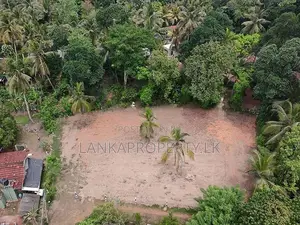 Valuable 38-Perch Land for Sale in Dunagaha, Minuwangoda.