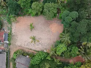 Valuable 38-Perch Land for Sale in Dunagaha, Minuwangoda.