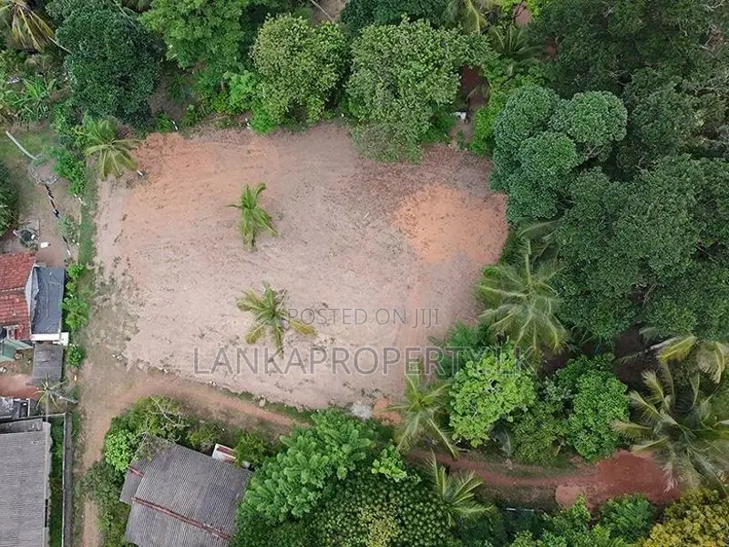Valuable 38-Perch Land for Sale in Dunagaha, Minuwangoda.