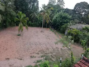 Valuable 38-Perch Land for Sale in Dunagaha, Minuwangoda.