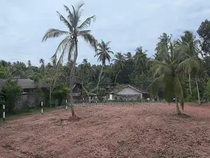 Valuable 38-Perch Land for Sale in Dunagaha, Minuwangoda.