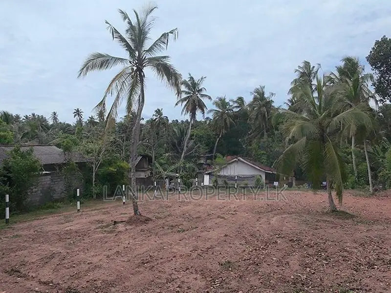 Valuable 38-Perch Land for Sale in Dunagaha, Minuwangoda.