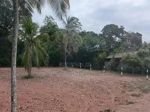 Valuable 38-Perch Land for Sale in Dunagaha, Minuwangoda.