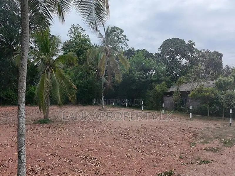 Valuable 38-Perch Land for Sale in Dunagaha, Minuwangoda.
