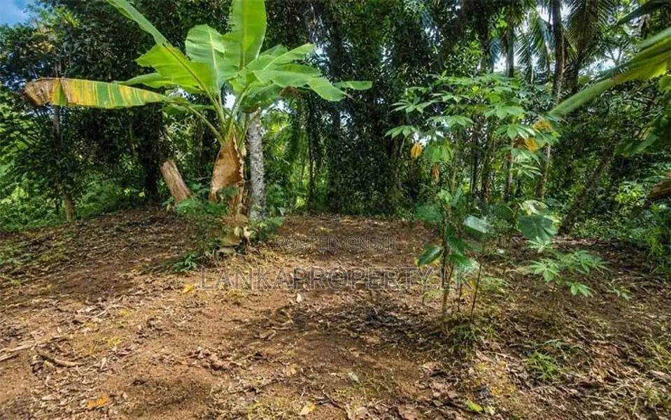 Residential land for sale in the Ambaraluwa-Weliweriya
