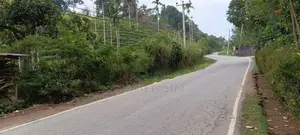 15 Perches | 5 Blocks Land For Sale - Pilimathalawa