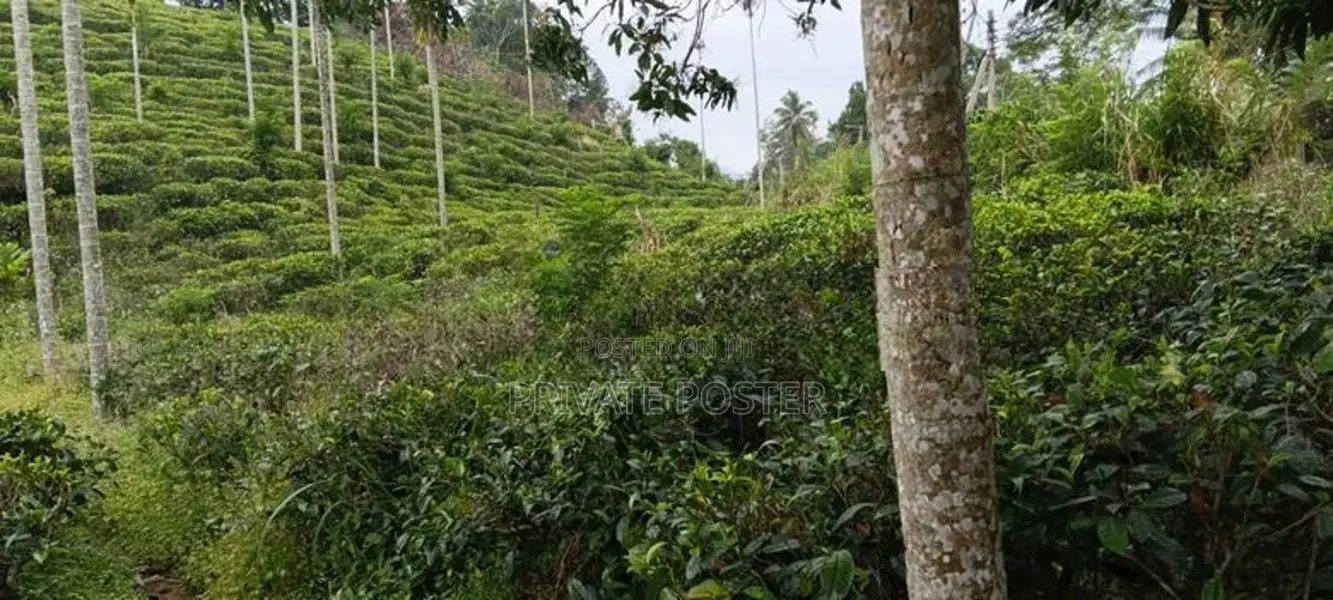 15 Perches | 5 Blocks Land For Sale - Pilimathalawa