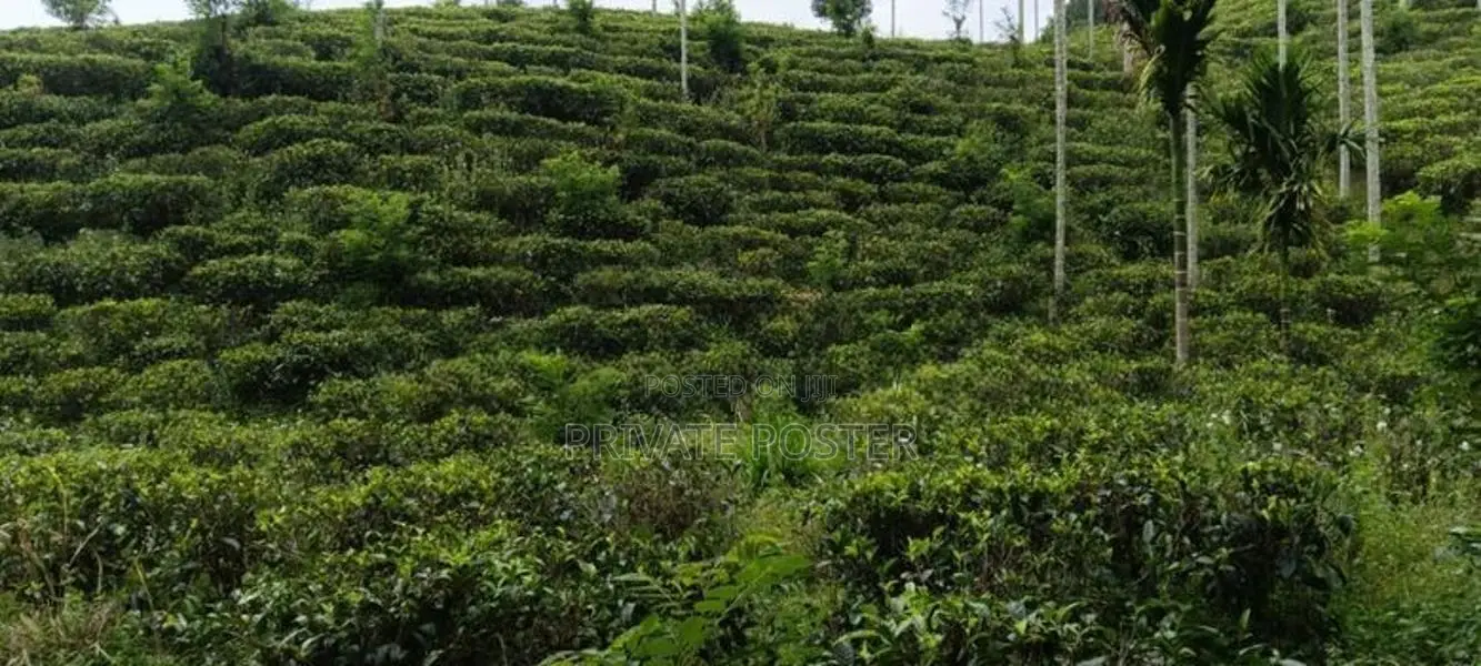 15 Perches | 5 Blocks Land For Sale - Pilimathalawa