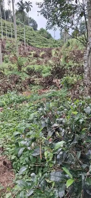 15 Perches | 5 Blocks Land For Sale - Pilimathalawa