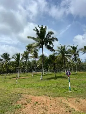 Land for Sale Aluthgama