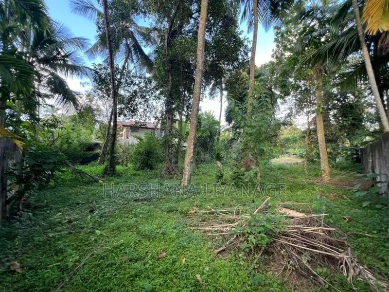 Kiribathgoda/Makola 44 Perches Land For Sale