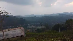 Mountain Land for Sale in Bandarawela Kontehela