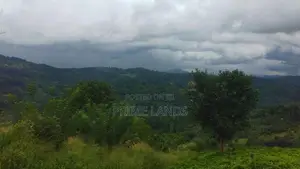 Mountain Land for Sale in Bandarawela Kontehela