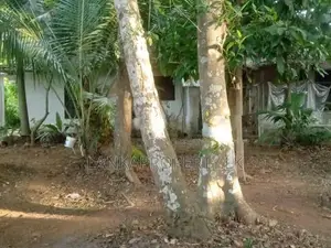 Valuable Residential Land for Sale in Mangala Mawatha, Kadawatha.