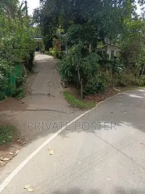 Flat Land For Sale - Pilimathalawa