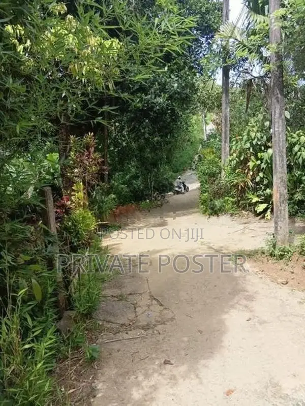 Flat Land For Sale - Pilimathalawa