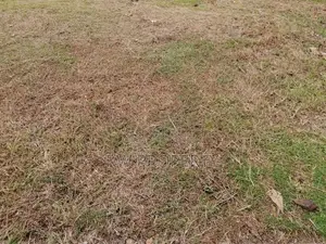 Land for sale in piliyandala