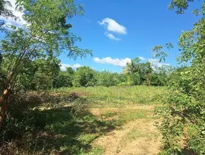 Land Plots for Sale – Colombo–Kataragama Main Road