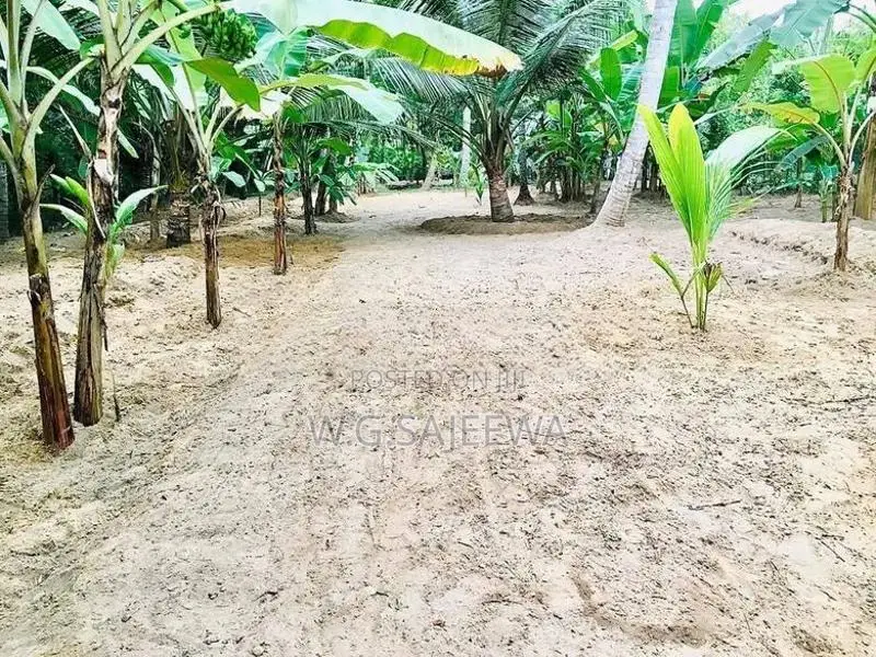 20 Perch Land for Sale Thibirigaskatuwa, Negombo