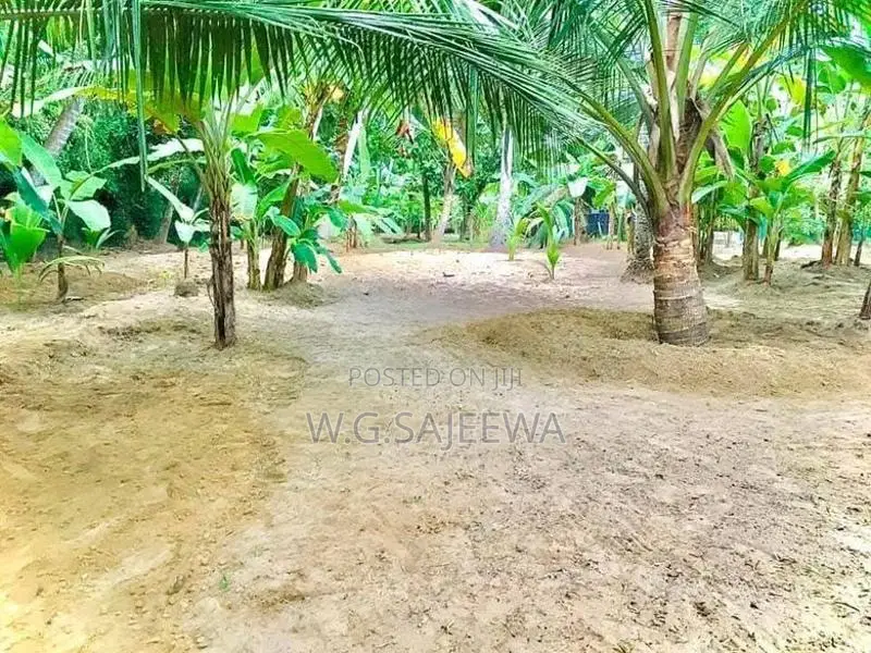 20 Perch Land for Sale Thibirigaskatuwa, Negombo