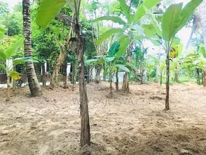 20 Perch Land for Sale Thibirigaskatuwa, Negombo