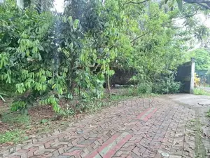 Land for Sale in Swarnahansa Pedesa, Gampaha