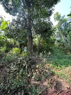 22 PERCHES BARE LAND FOR SALE – MADINNAGODA, RAJAGIRIYA