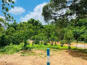 අම්බලන්ගොඩ නගරයට ආසන්නයේ බිම් කොටස් විකිණීමට