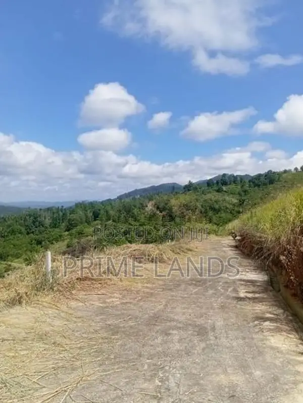 Land for Sale Nuwara Nillabe