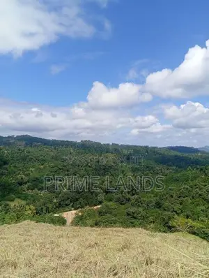 Land for Sale Nillabe Kandy