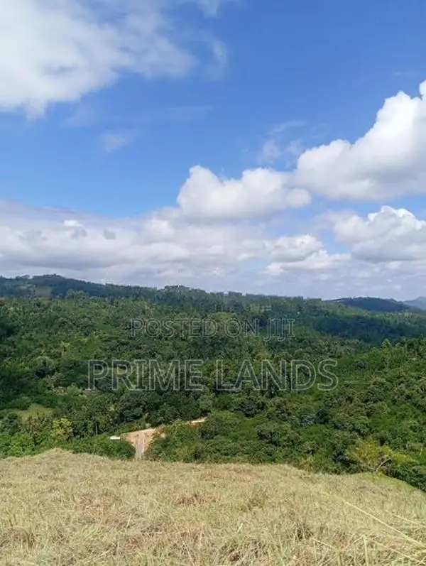 Land for Sale Nillabe Kandy