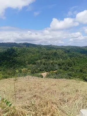 Land for Sale Nuwara Nillabe