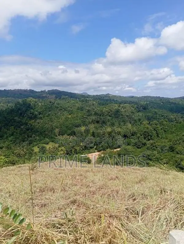 Land for Sale Nuwara Nillabe