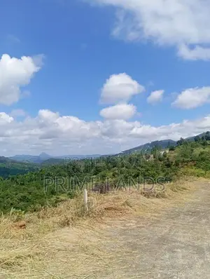 Land for Sale Nuwara Nillabe