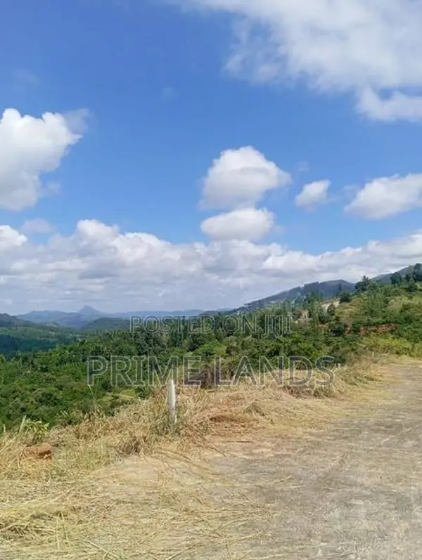 Land for Sale Nuwara Nillabe