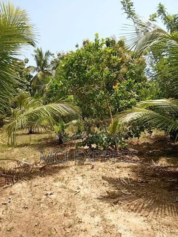 Land For Sale - කෘෂිකර්මාන්තයට හා ව්‍යාපාරික