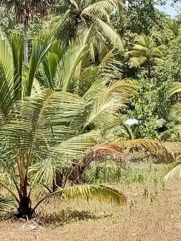Land For Sale - කෘෂිකර්මාන්තයට හා ව්‍යාපාරික