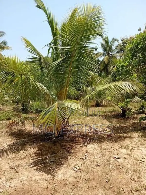 Land For Sale - කෘෂිකර්මාන්තයට හා ව්‍යාපාරික