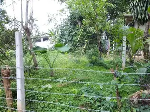 Beliatta බෙලිඅත්තෙන් වටිනා ඉඩමක්