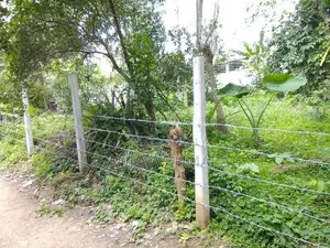 Beliatta බෙලිඅත්තෙන් වටිනා ඉඩමක්
